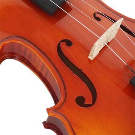 Violina 4/4 Music master VT600 Pro series