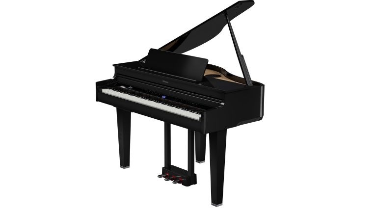 Roland GP-6 PE