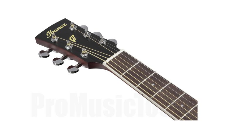Ibanez PF16MWCE-OPN Akusticna gitara sa ozvukom
