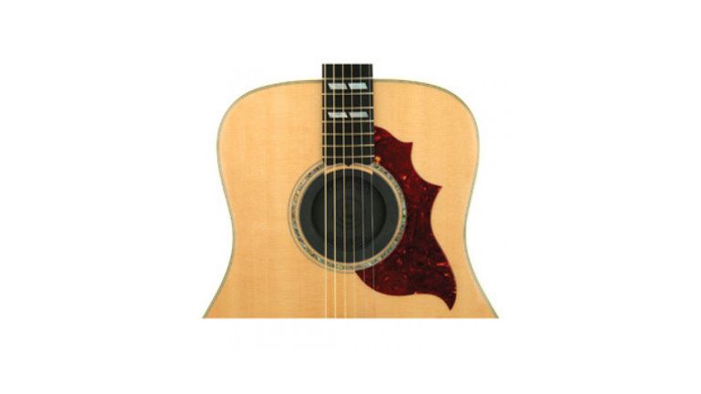 D'Addario PWSH01 Planet Waves  Soundhole Cover