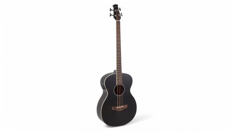Applause E-Acoustic Bass Wood Classics AEB96-5E 