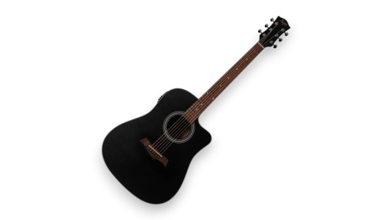 Flight D-175CE BLK ozvučena gitara