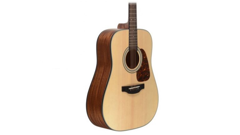 Takamine GD10-NS